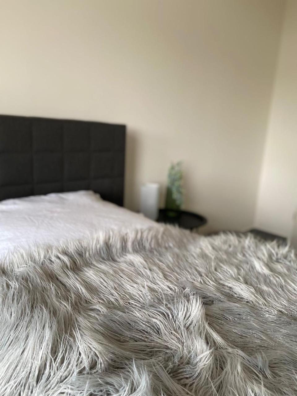 Pier 1 Bis 4 Gmuetliche Mit Boxspringbett Cuxhaven